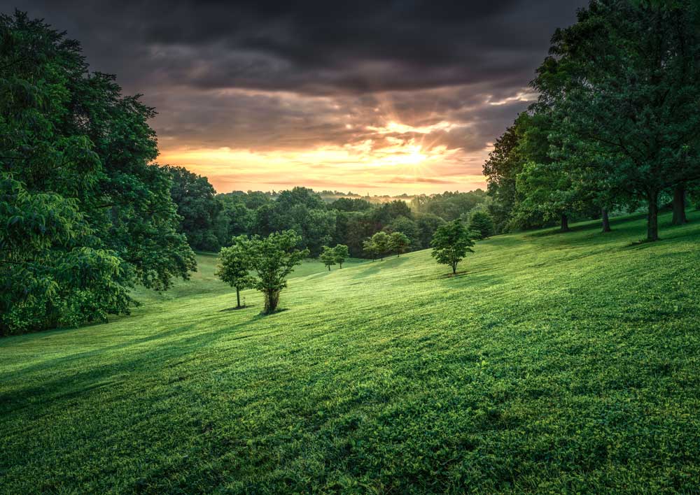 British landscape — nature and care